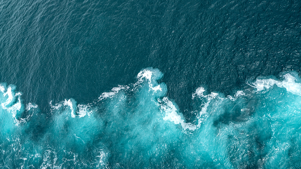 UN report calls for global collaboration to protect marine ecosystems