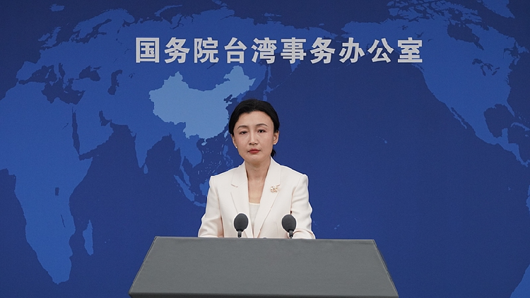 Chinese mainland slams Taiwan's DPP for groveling to external forces