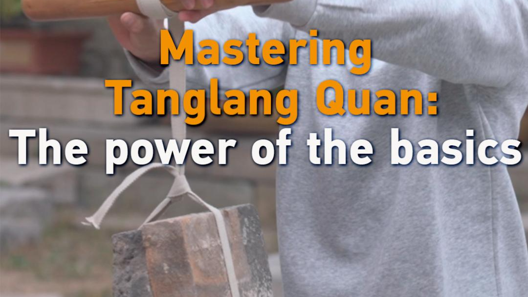 Mastering Tanglang Quan: The power of the basics