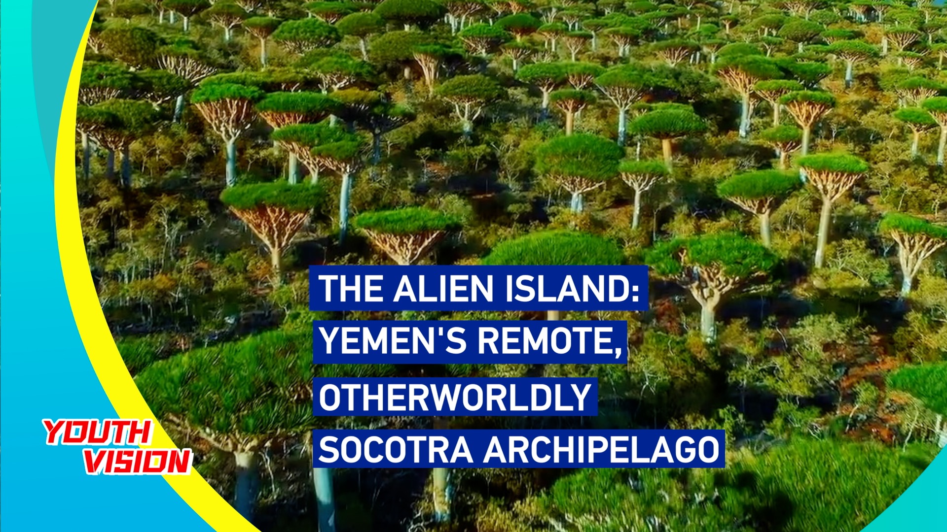 Alien island: Inside Yemen's remote, otherworldly Socotra archipelago
