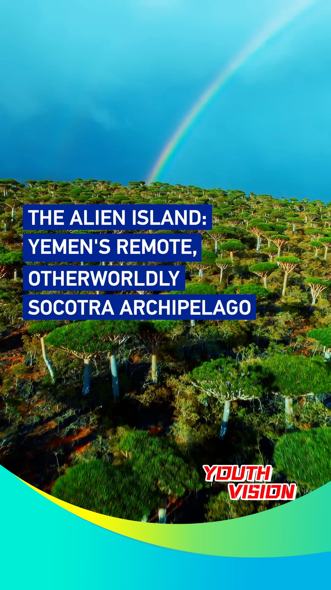 Alien island: Inside Yemen's remote, otherworldly Socotra archipelago