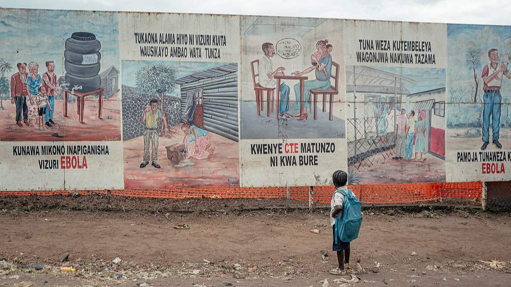Experts from China, DRC discuss cooperation on Ebola response