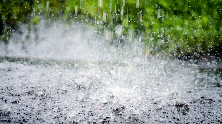 China issues rainstorm alert as heavy rain hits south