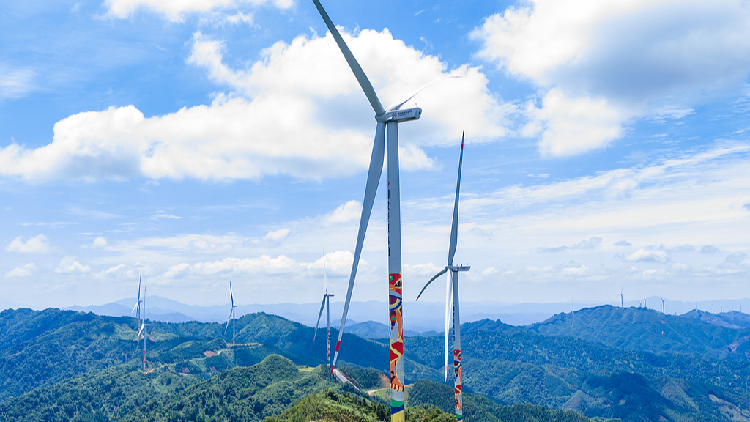 China's green power met all growth in electricity demand in 2025