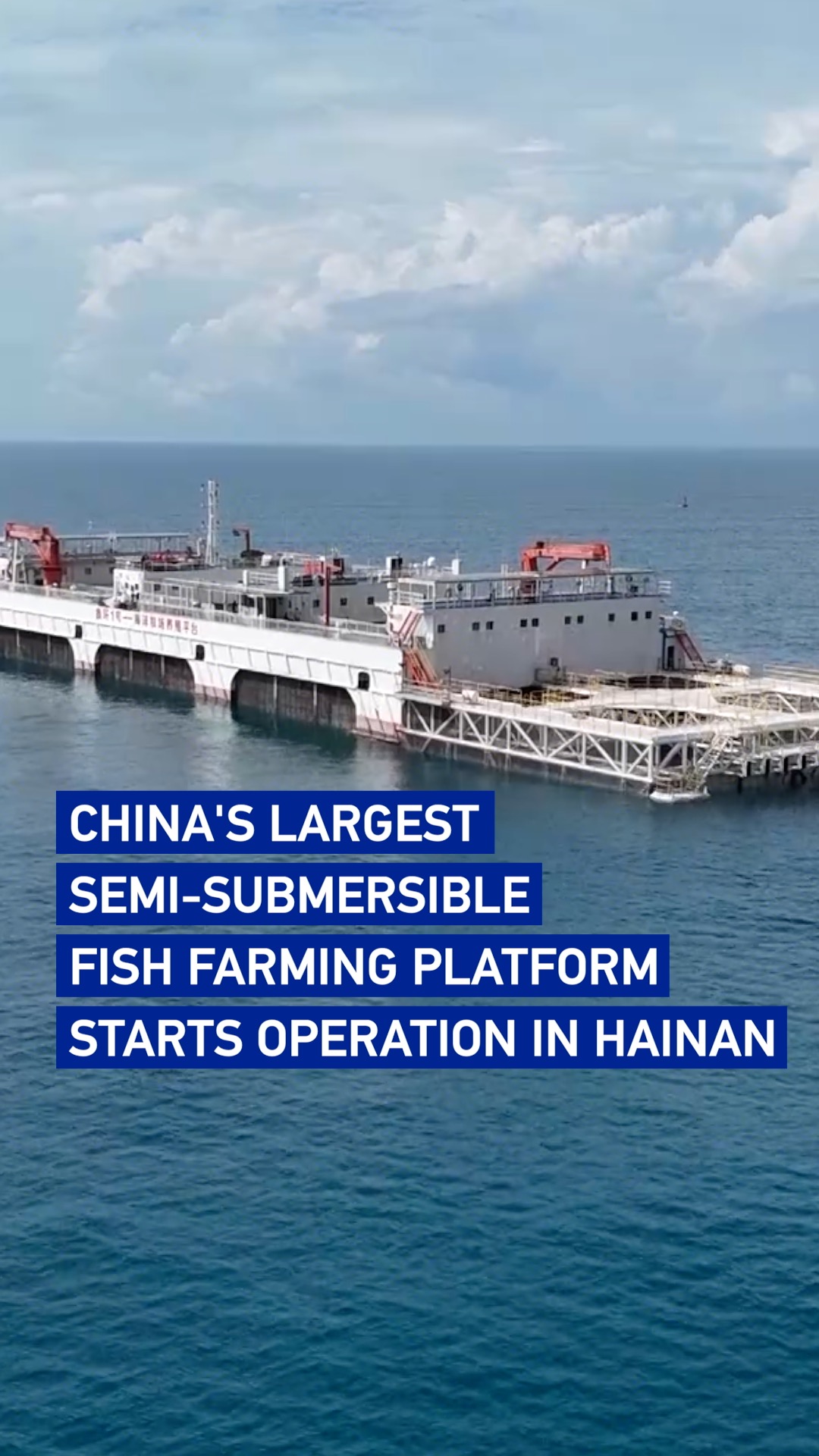 China's largest semi-submersible fish farm starts operation in Hainan