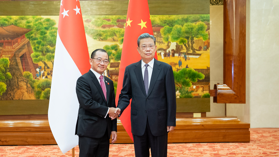 China's top legislator holds talks with Singapore's parliament speaker