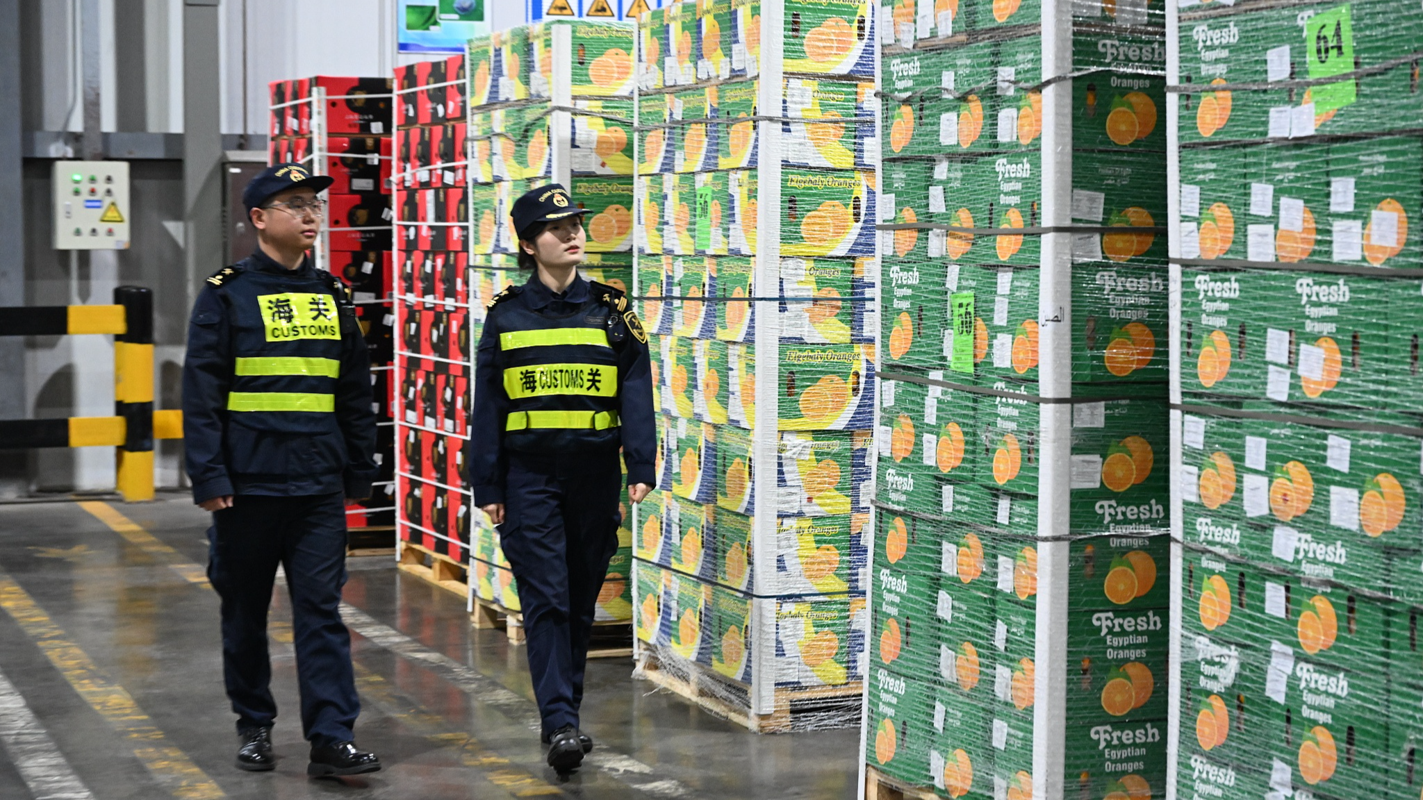 A shipment of Egyptian fresh oranges, among the first batch to receive zero-tariff treatment, clears customs at Waigaoqiao Port in Shanghai, China, on May 1, 2026. /VCG
