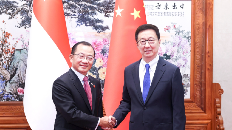 Chinese vice president, Singapore's parliament speaker meet in Beijing