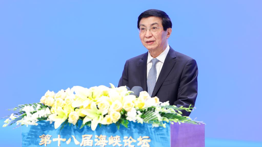 Wang Huning calls for peaceful development of cross-Strait relations