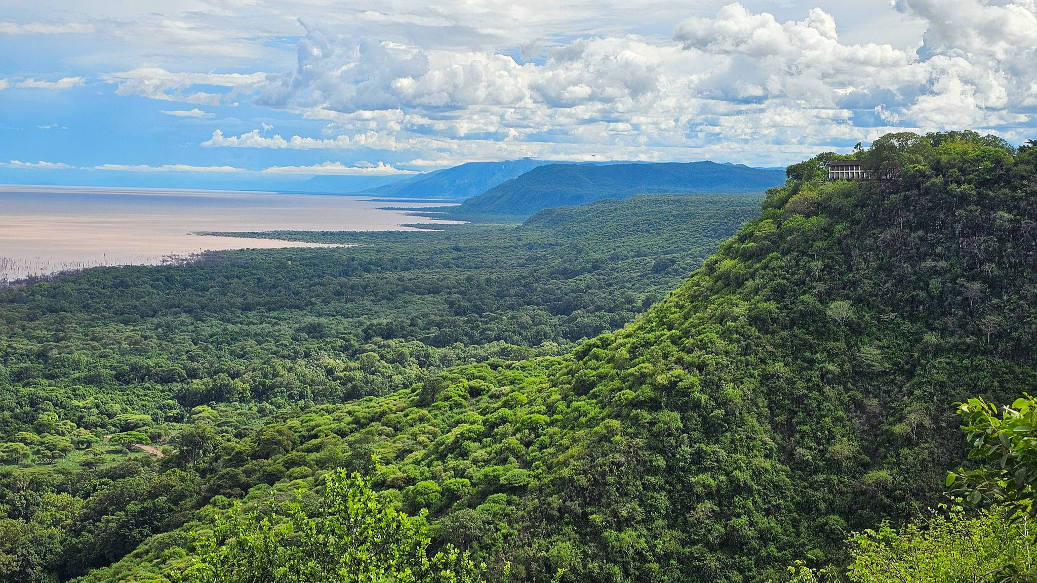 African Forest Forum creates roadmap for biodiversity management