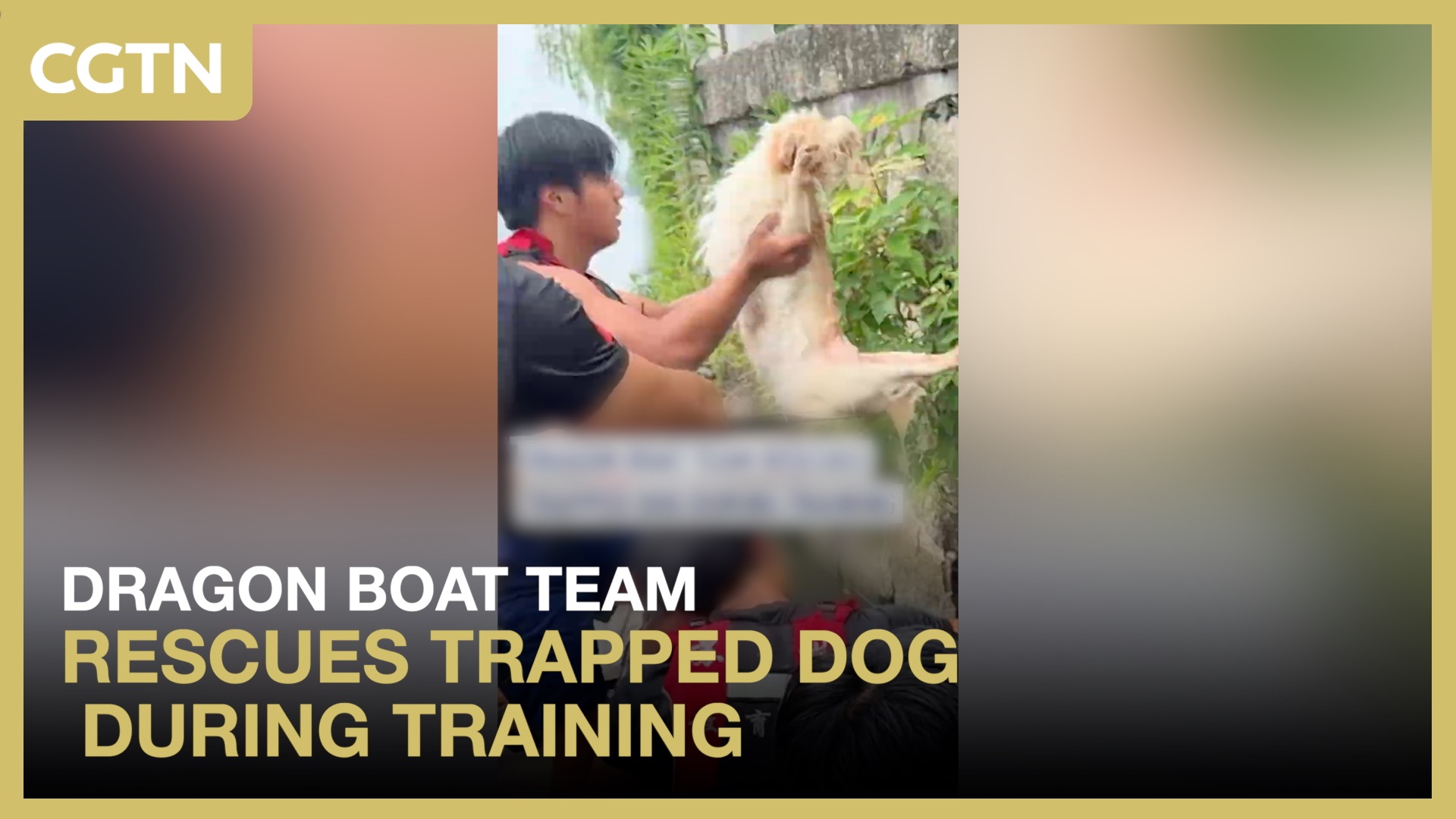 Dragon boat team rescues trapped dog during training