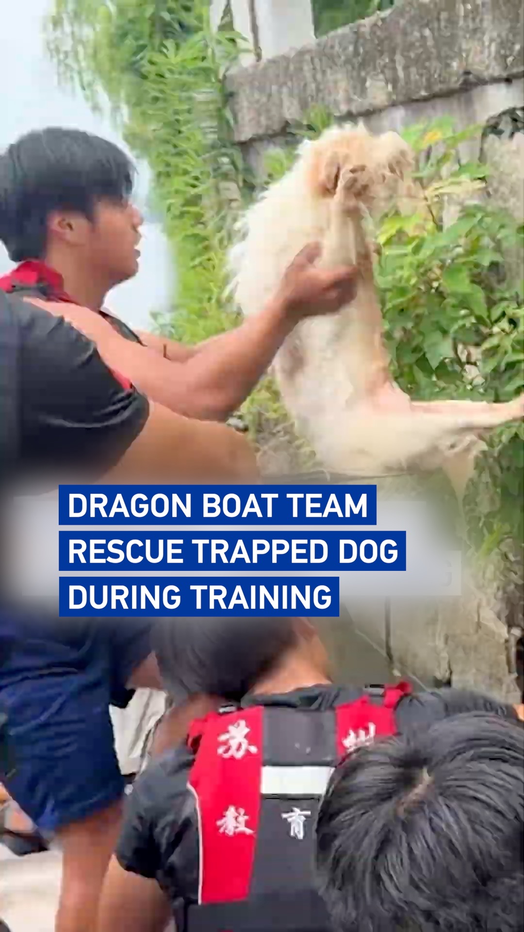 Dragon boat team rescues trapped dog during training