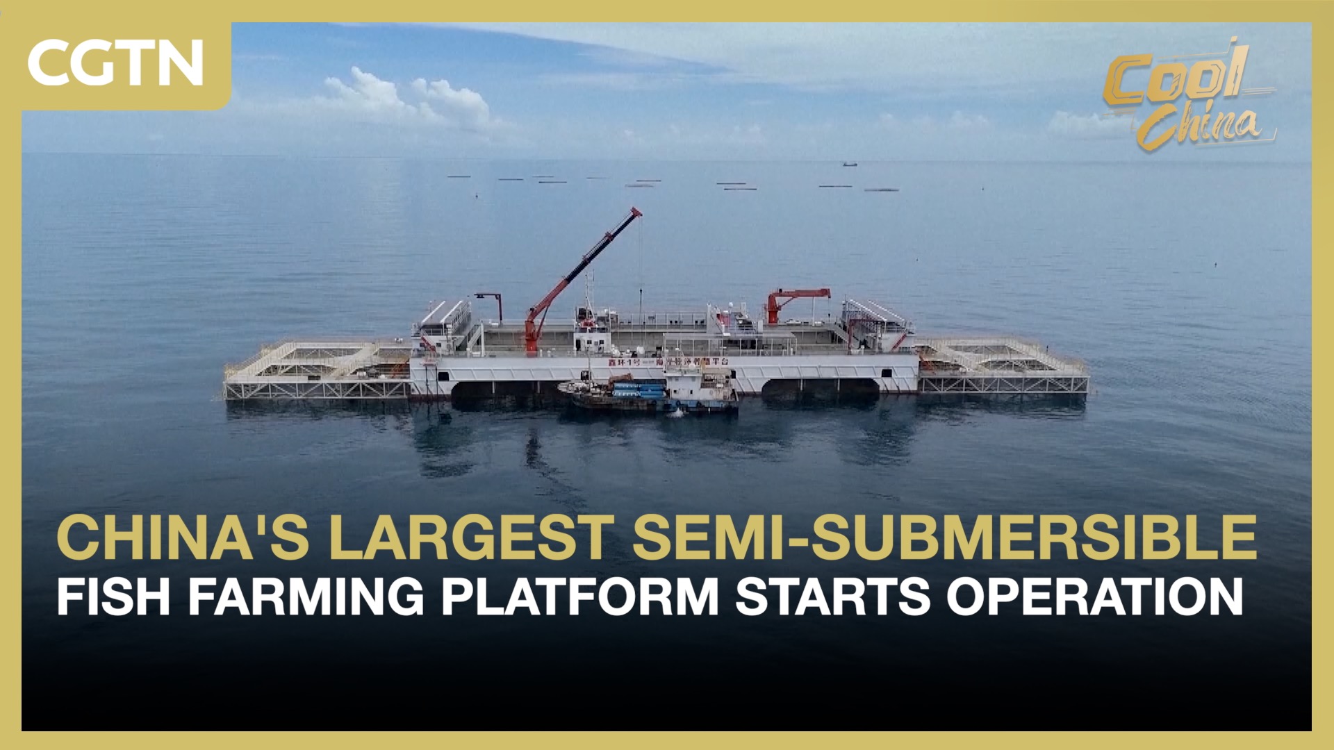 China's largest semi-submersible fish farming platform starts operation