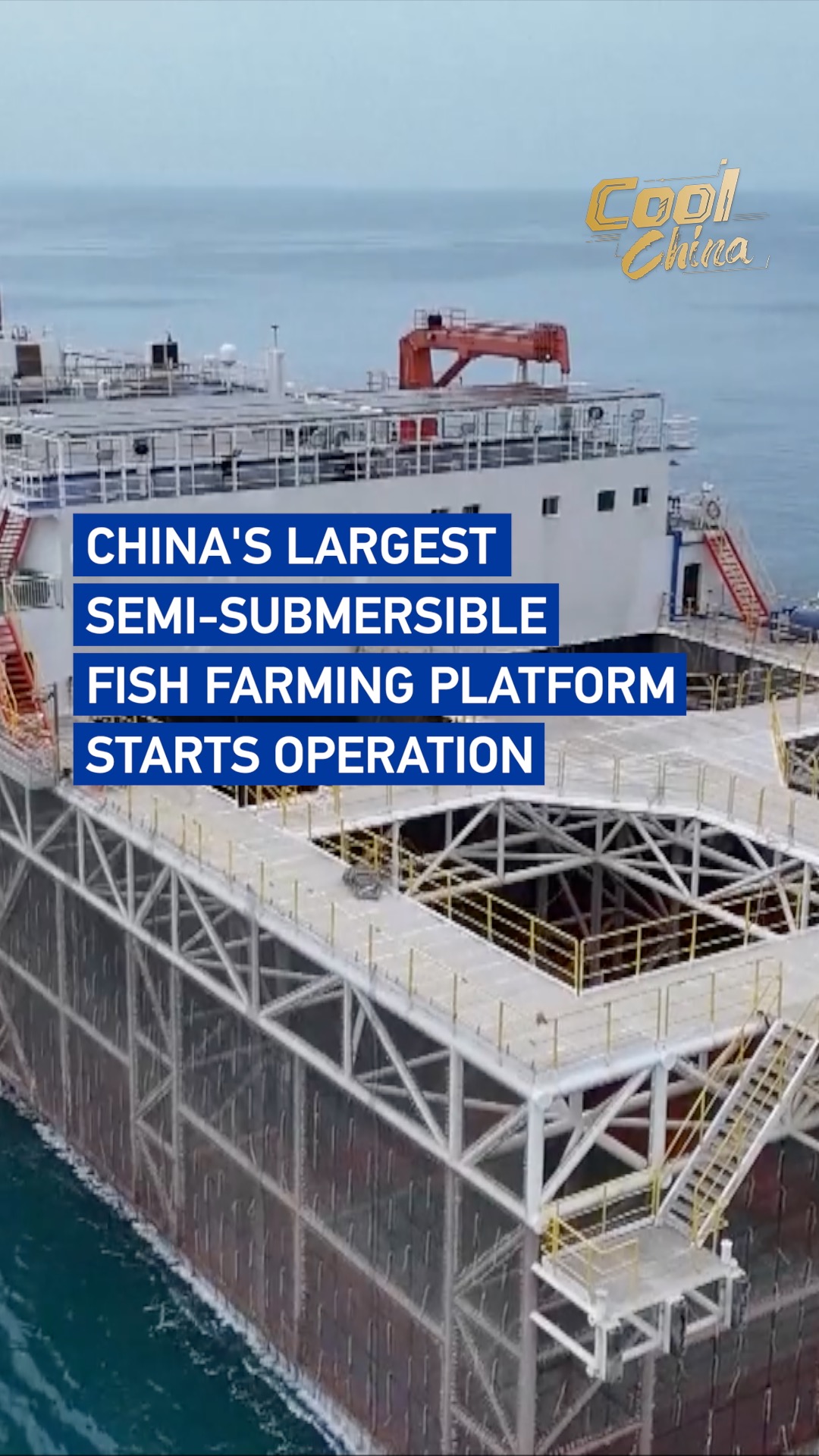 China's largest semi-submersible fish farming platform starts operation