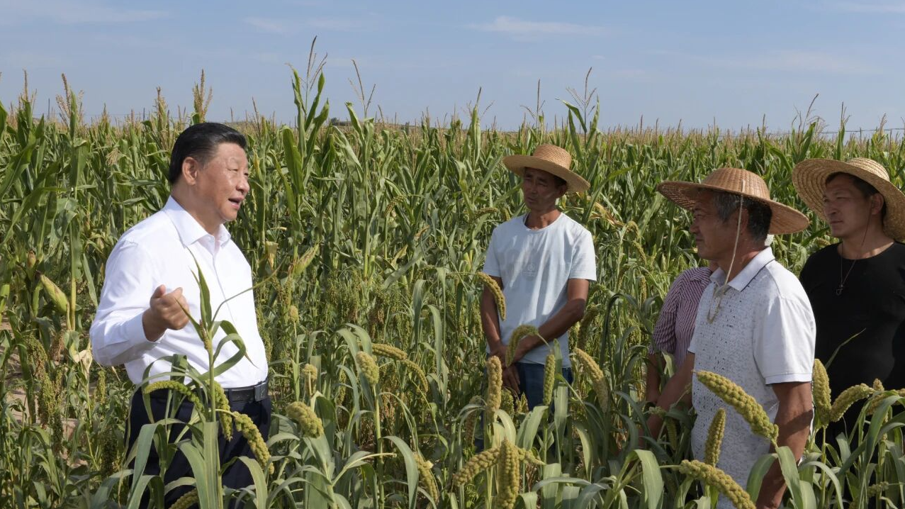 How Xi's early rural years shaped a lasting pledge to improve lives