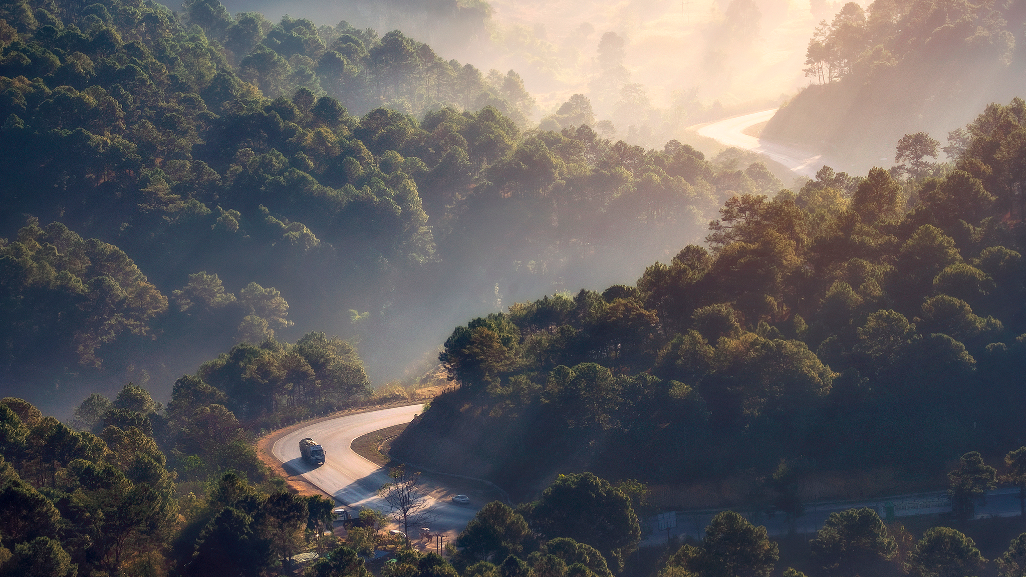Myanmar to plant over 21 million trees during 2026 rainy season