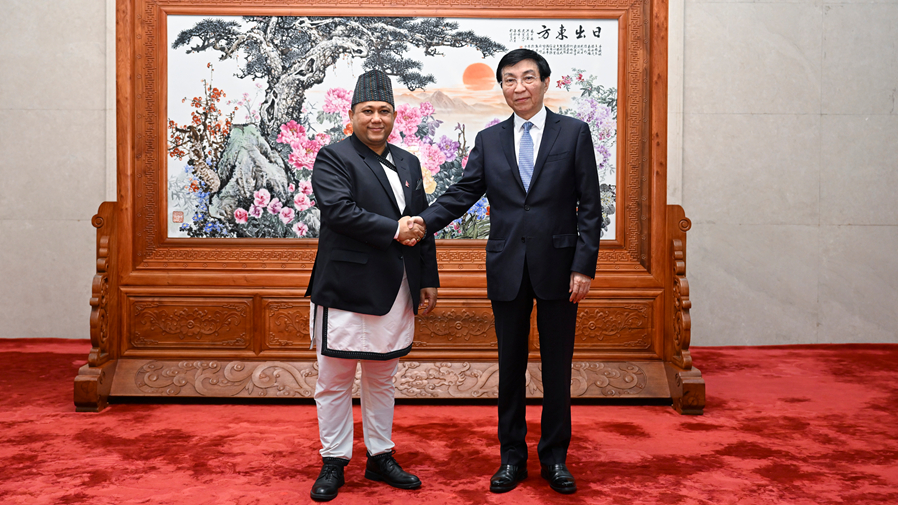 China's top political advisor meets Nepali foreign minister
