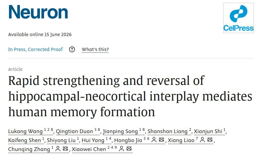 A screenshot of the Neuron study on human memory formation, published online on June 15, 2026. / Screenshot from Neuron
