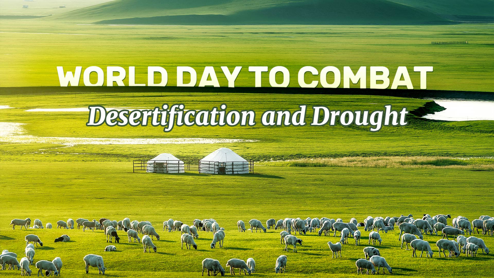 China's fight against desertification offers lessons for a drier world
