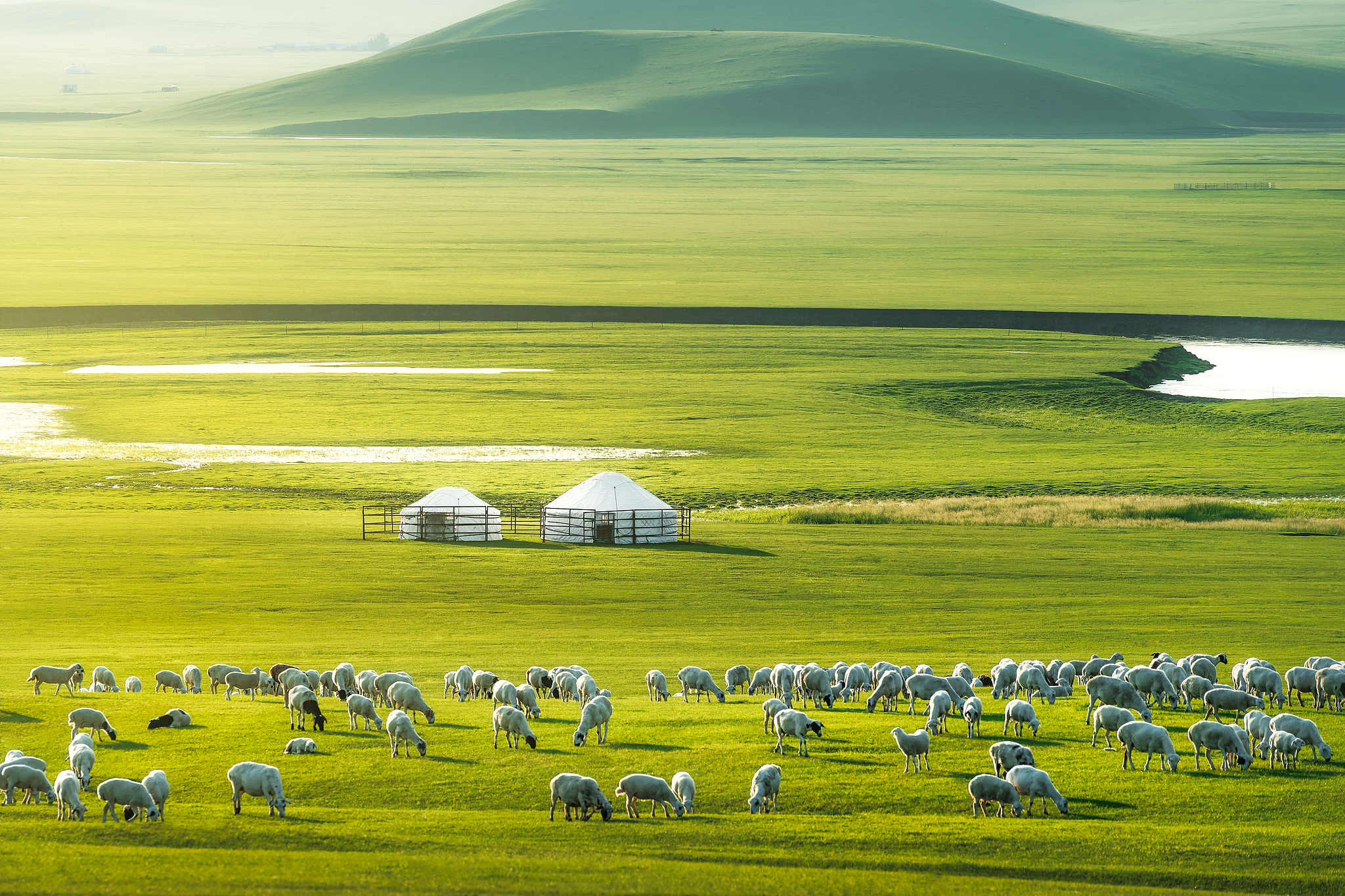 A view of the Hulunbuir Grassland in Inner Mongolia Autonomous Region, north China. /VCG