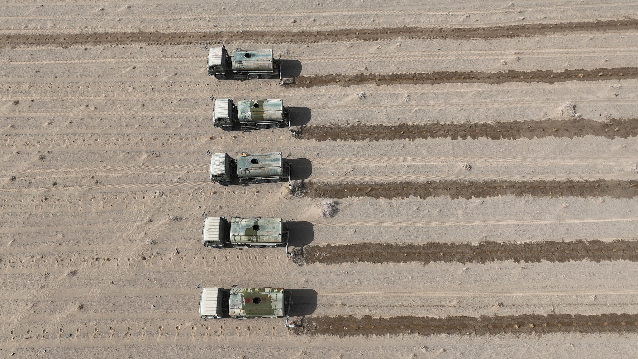 Workers water newly planted saxaul shrubs at a desertification-control site in Jinta County, Gansu Province, northwest China, March 24, 2026. /VCG