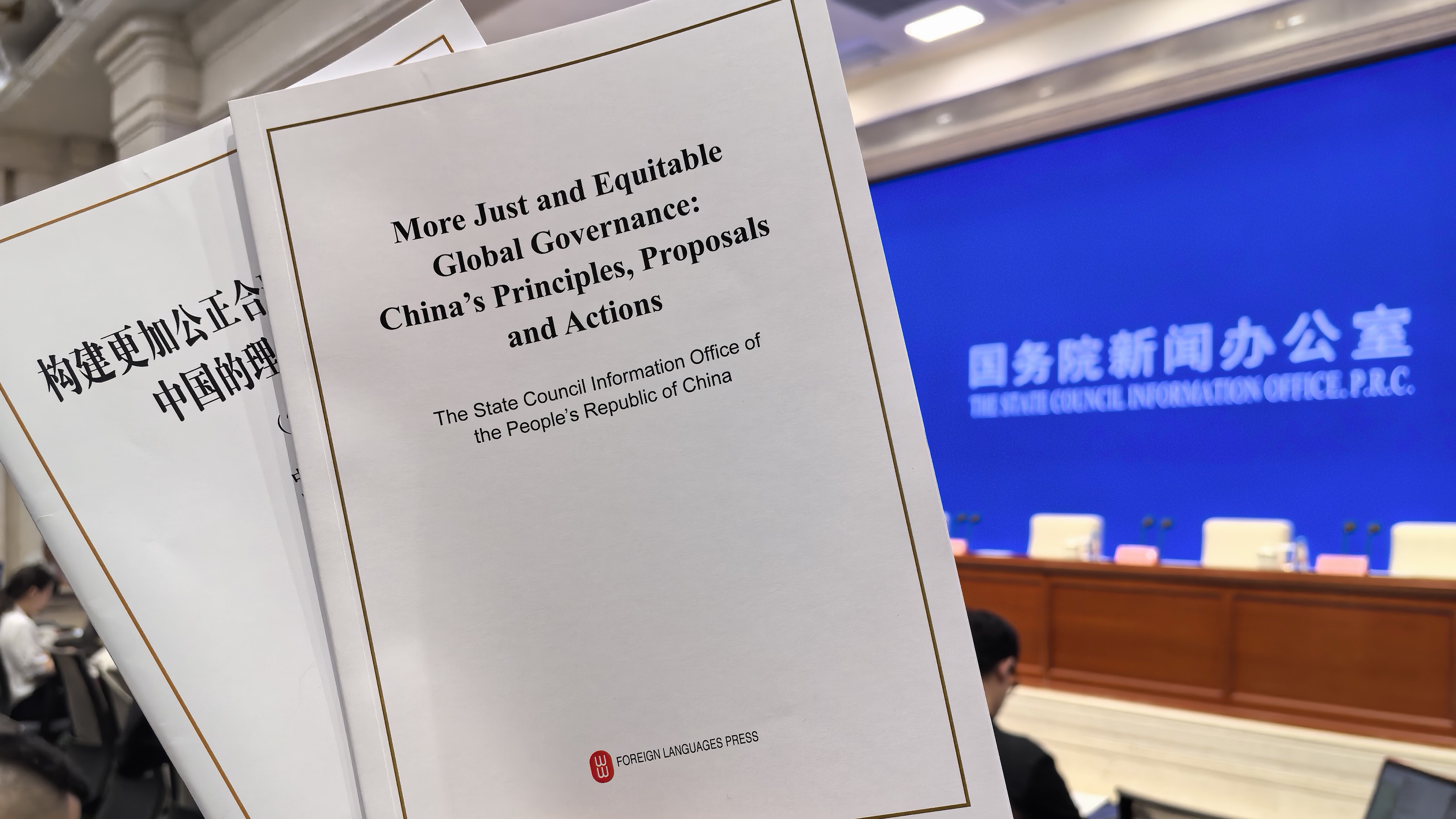 China's white paper outlines efforts for more just and equitable world