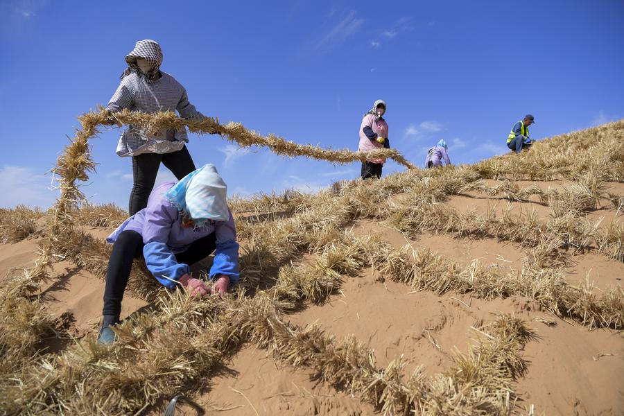 Workers build straw checkerboards in the Tengger Desert, in Zhongwei of northwest China's Ningxia Hui Autonomous Region, on May 30, 2024. /Xinhua