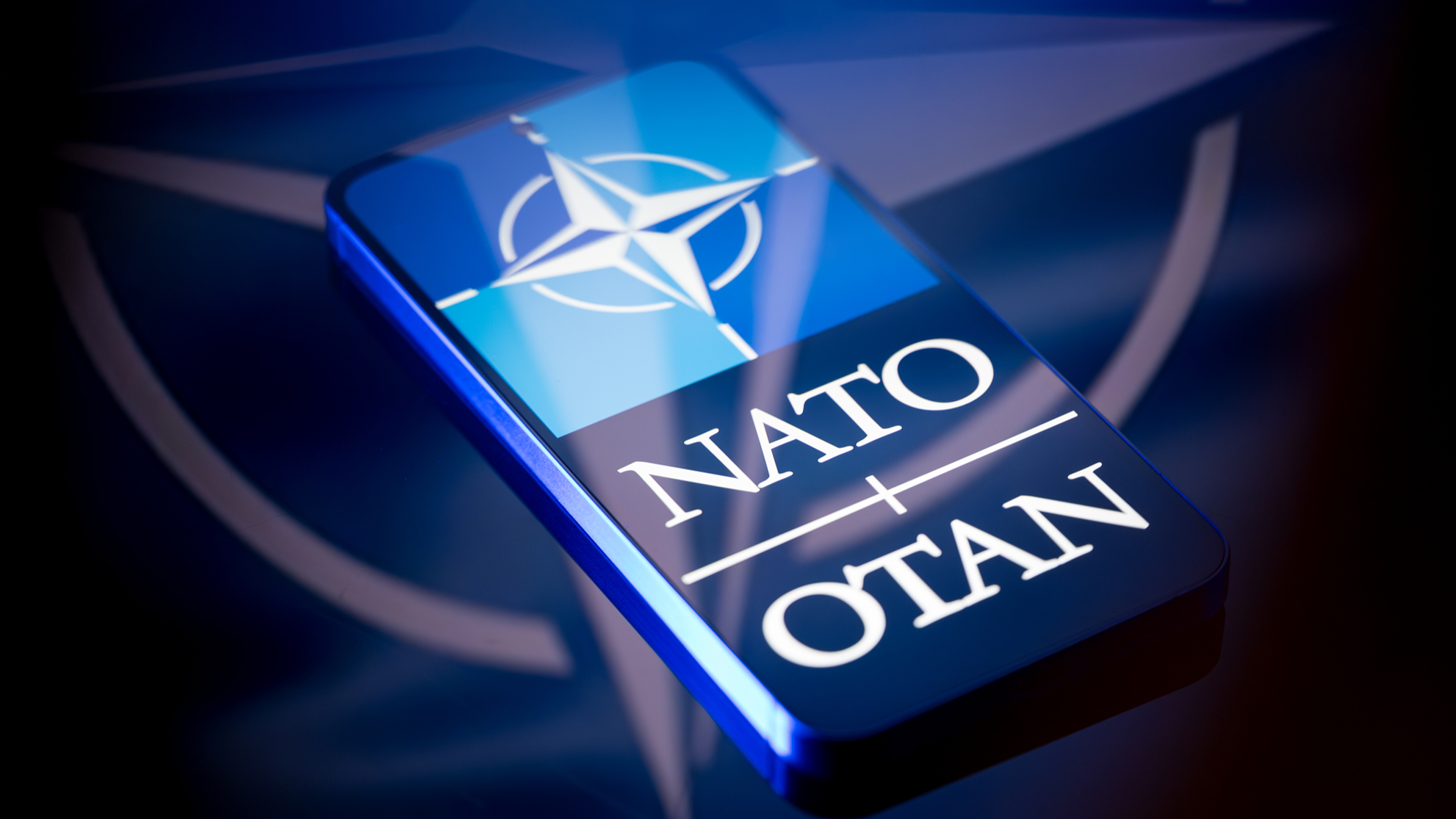 The logo of the North Atlantic Treaty Organization. /VCG