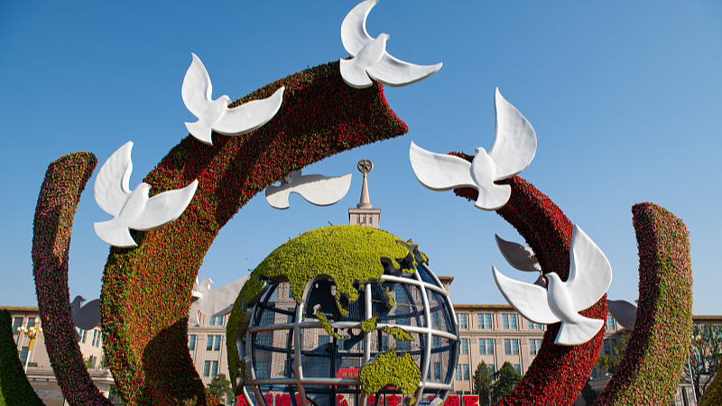 White paper highlights China's contribution to global governance