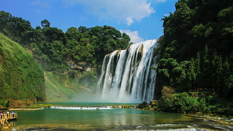 Live: Witness the grandeur of China's Huangguoshu Waterfall