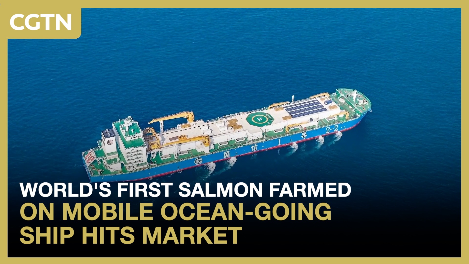 World's first salmon farmed on mobile ocean-going ship hits market