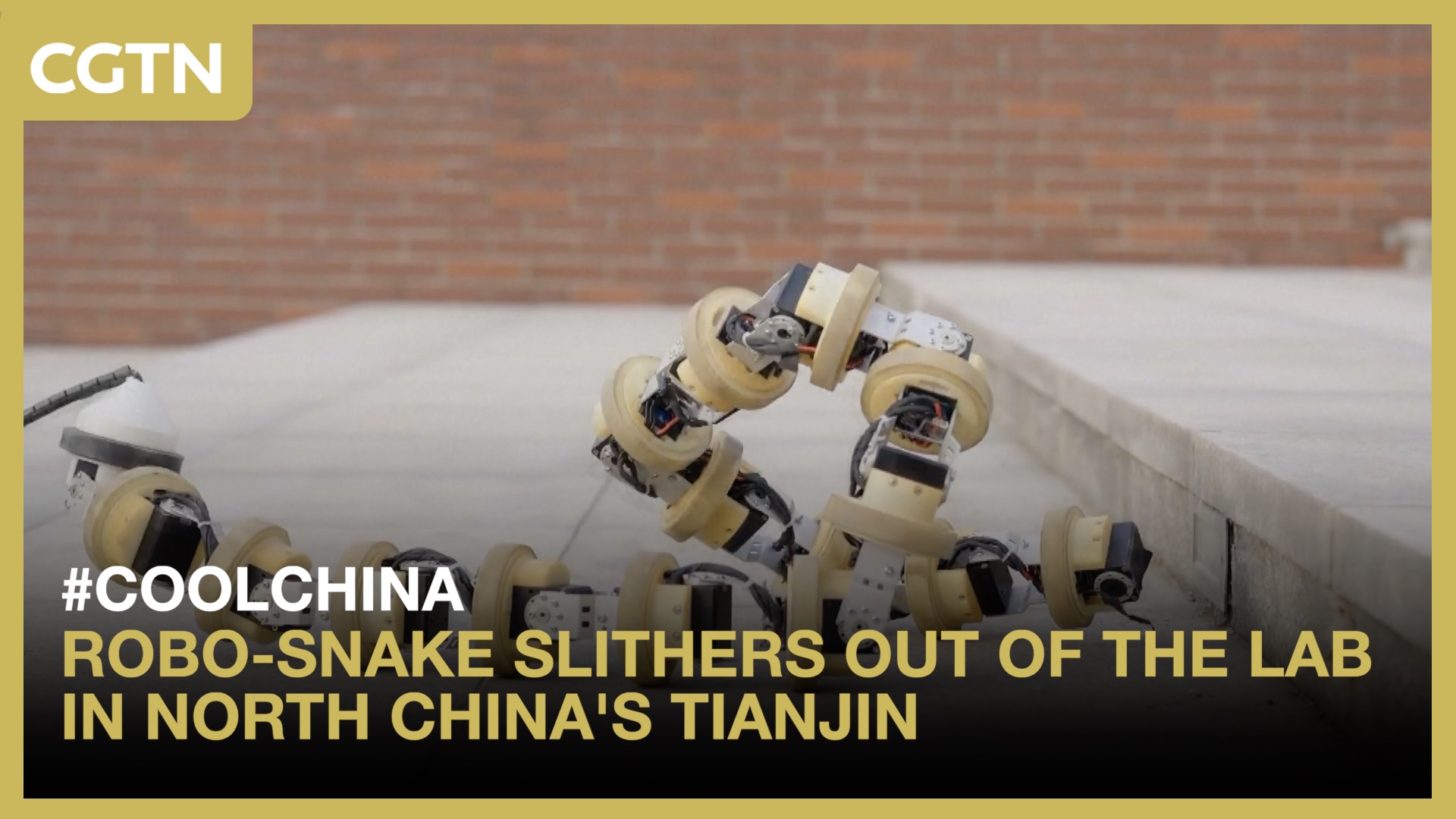 Robo-snake slithers out of the lab in north China's Tianjin