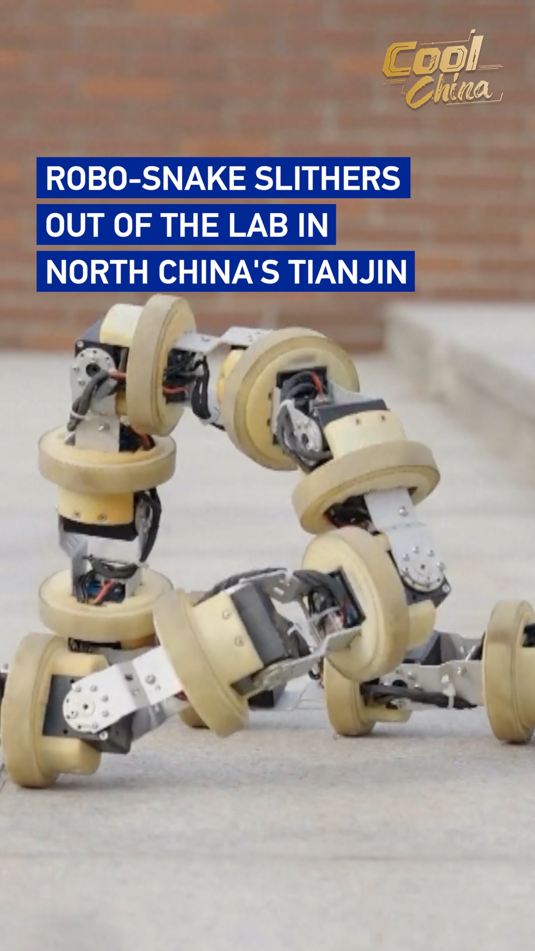 Robo-snake slithers out of the lab in north China's Tianjin