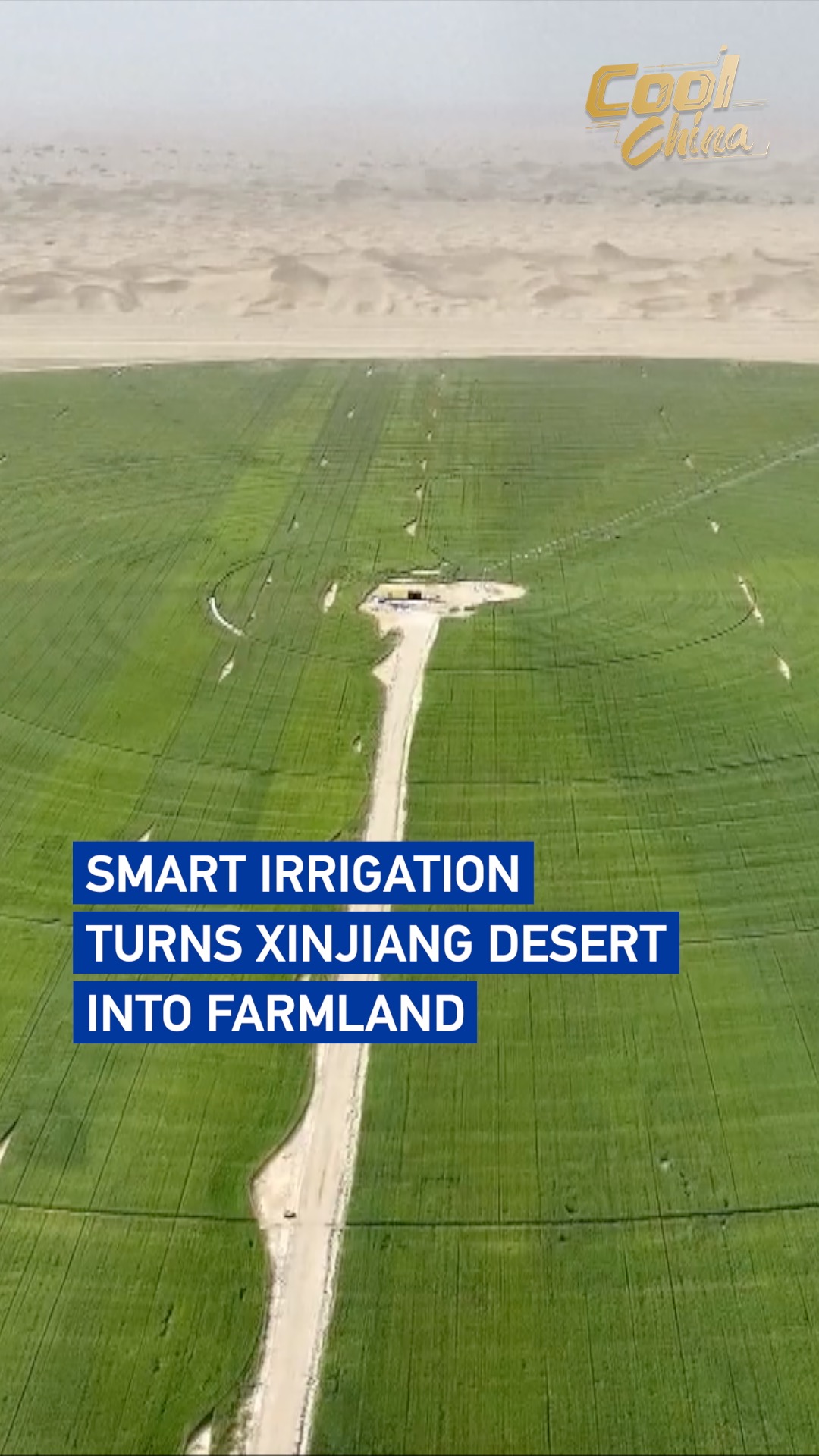 Smart irrigation turns Xinjiang desert into farmland
