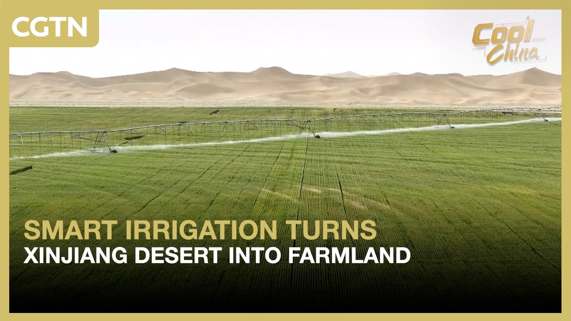 Smart irrigation turns Xinjiang desert into farmland