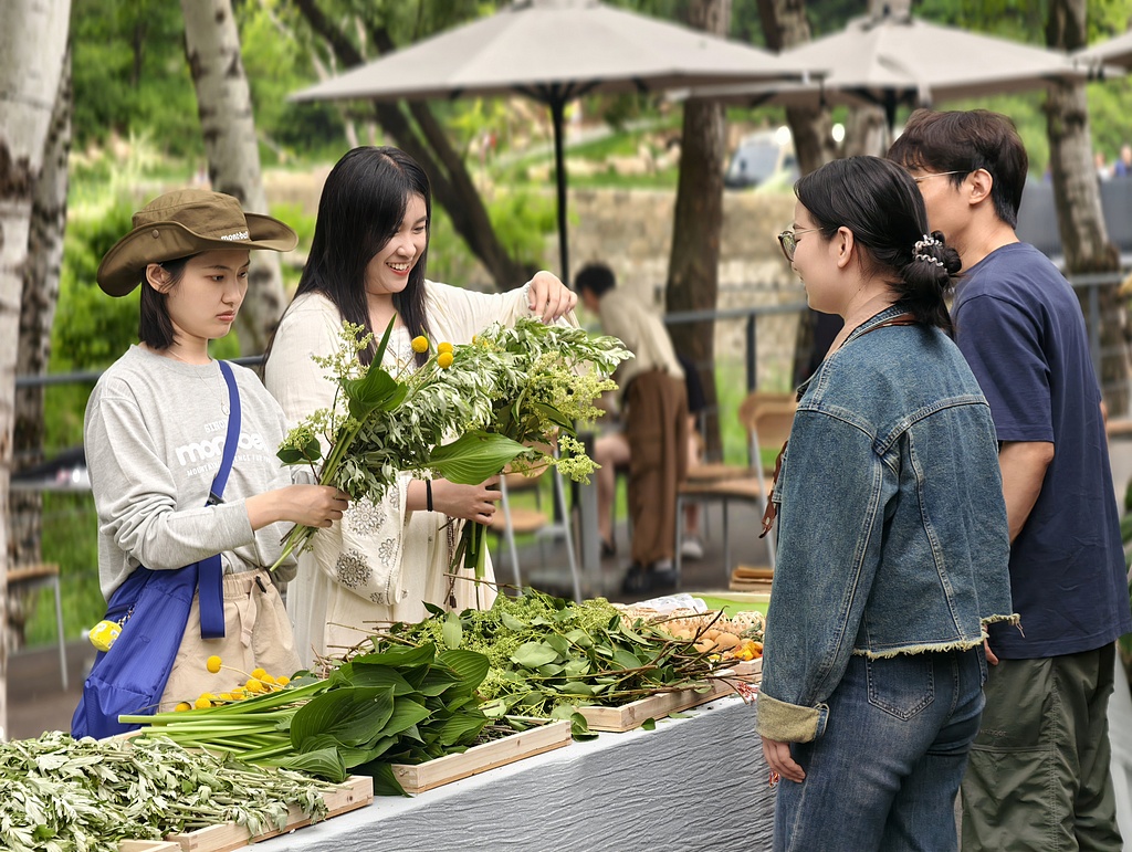 Visitors select mugwort bouquets, a traditional Dragon Boat Festival decoration believed to ward off evil and bring good health, at a market stall in Chengde, Hebei Province, north China, June 19, 2026. /VCG