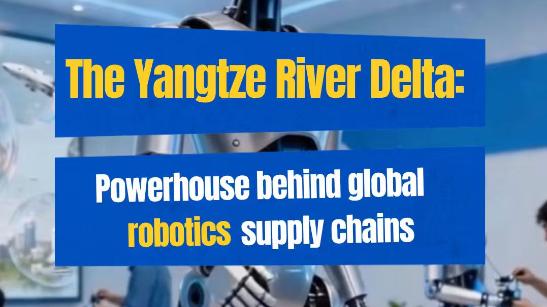 Powerhouse behind global robotics supply chains