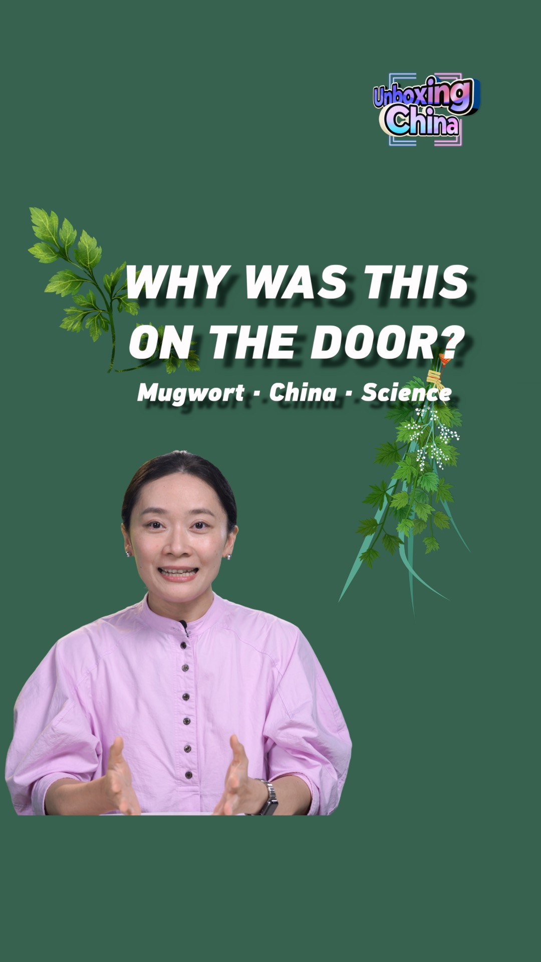 Why has mugwort been hung on Chinese doors for 2,000 years?