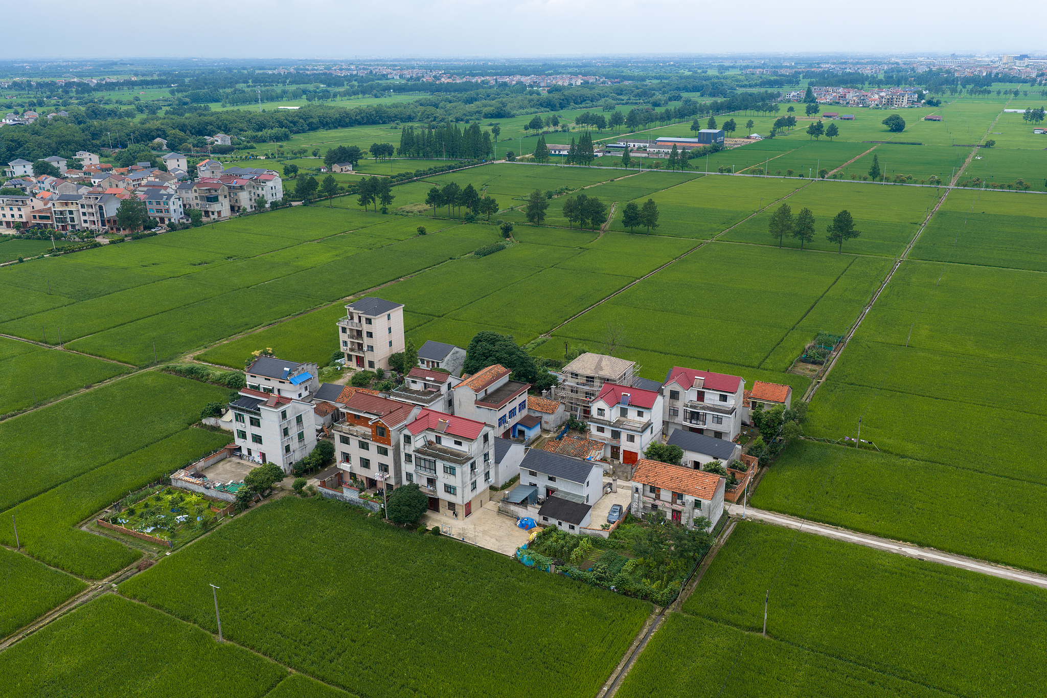 Farmlands and scattered villages frame a bountiful rural landscape in Tangxi Town, Jinhua City, east China's Zhejiang, June 18, 2026. /VCG