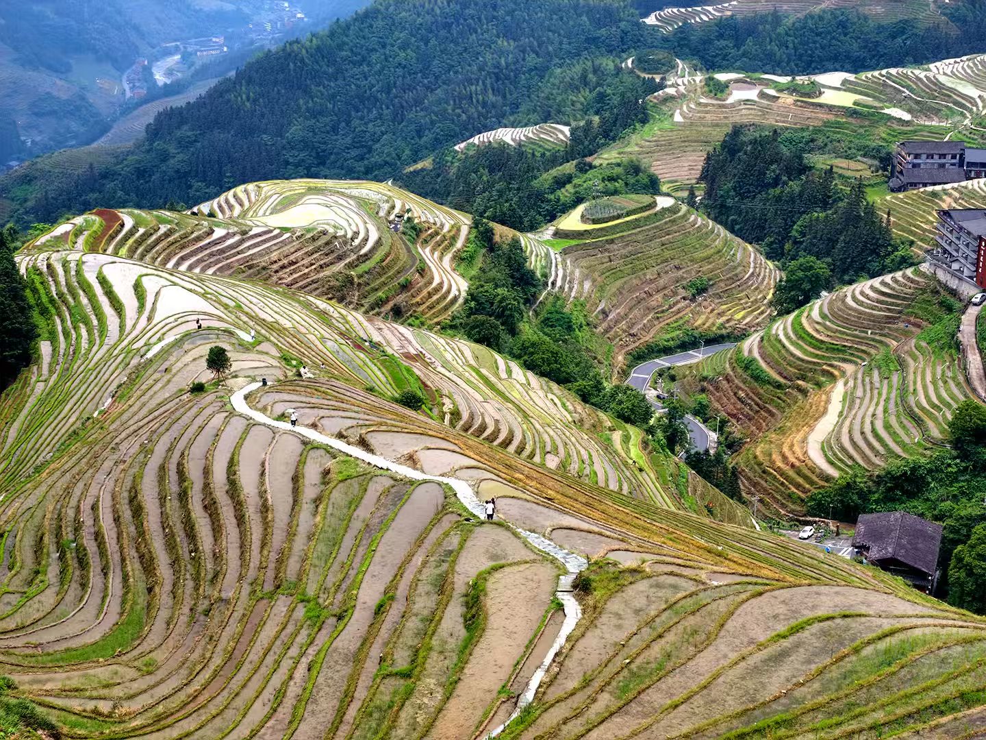 The Longji Rice Terraces in Guilin, Guangxi, wind across the mountains, reflecting centuries of farming wisdom. /CGTN