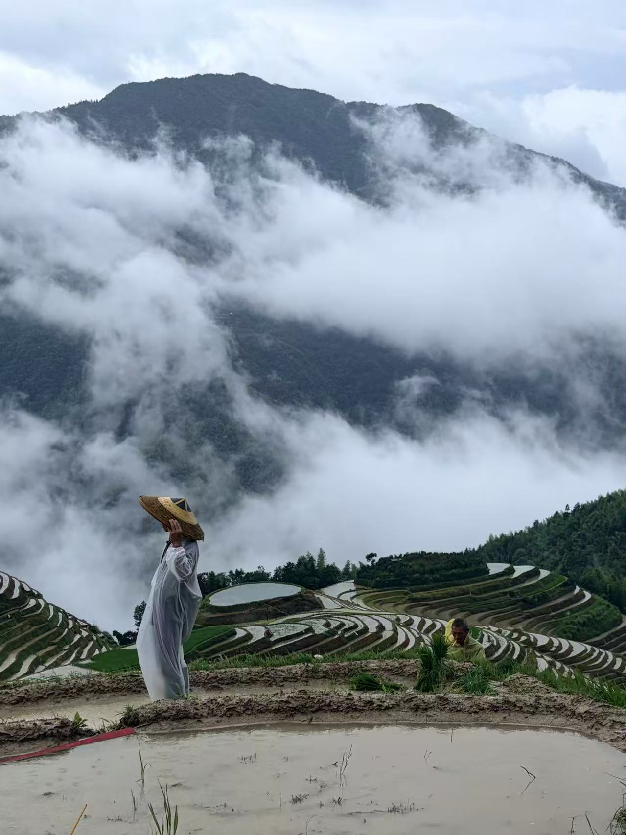 The Longji Rice Terraces in Guilin, Guangxi, wind across the mountains, reflecting centuries of farming wisdom. /CGTN