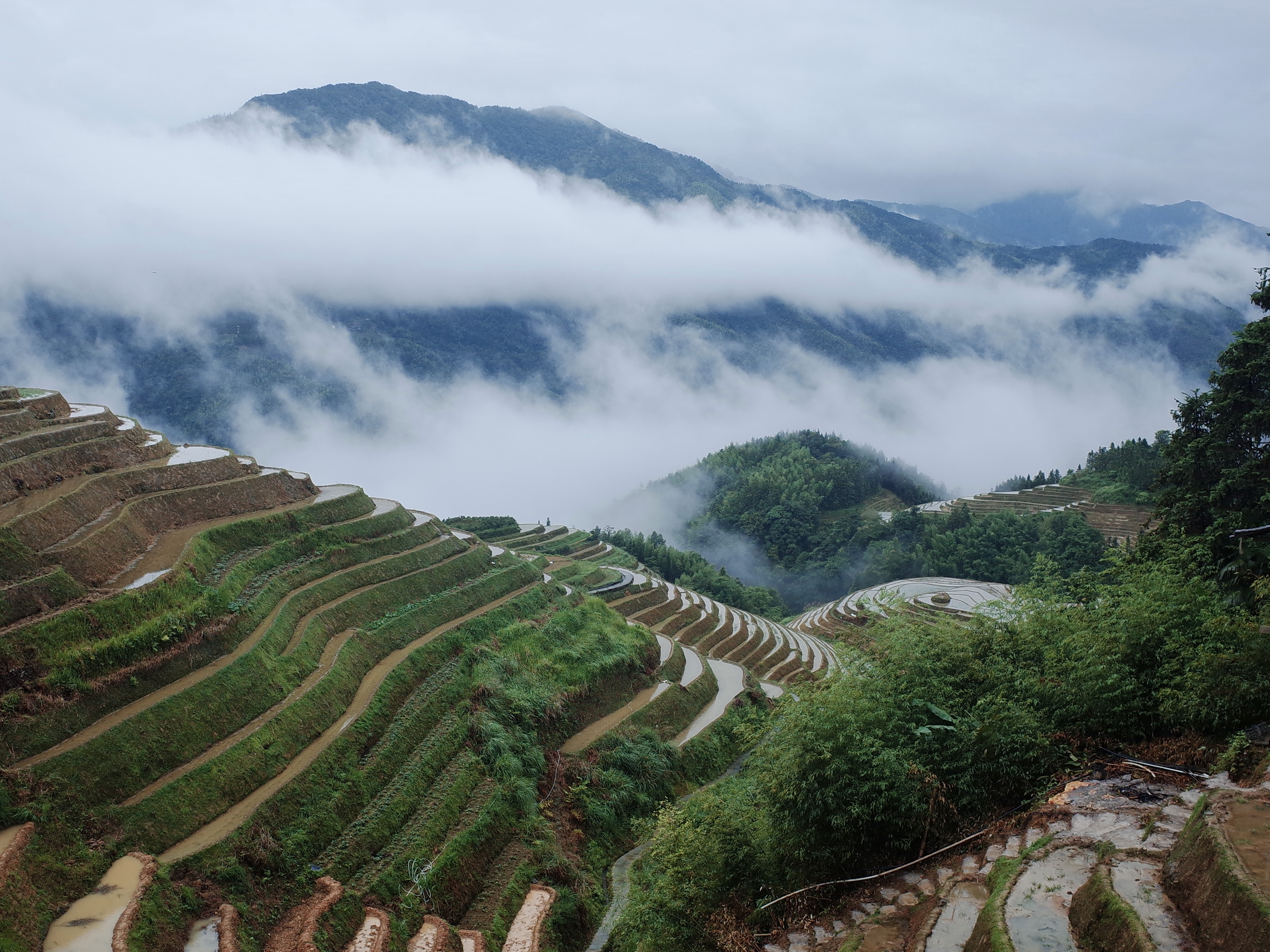 The Longji Rice Terraces in Guilin, Guangxi, wind across the mountains, reflecting centuries of farming wisdom. /CGTN