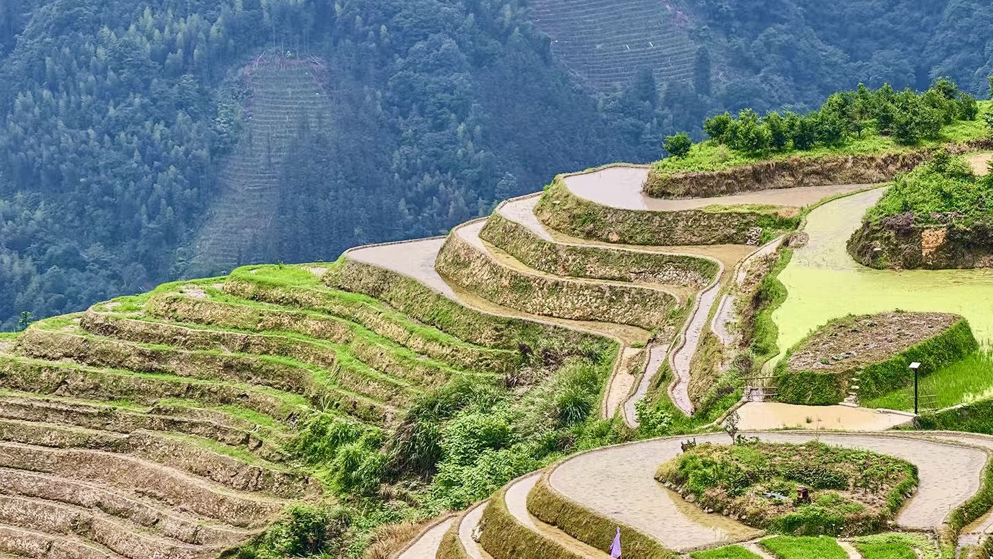 Guangxi rice terraces: A landscape shaped by time