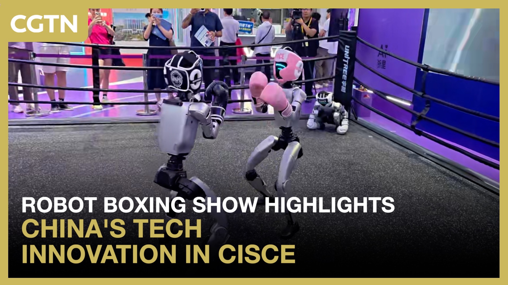Robot boxing show highlights China's tech innovation at CISCE