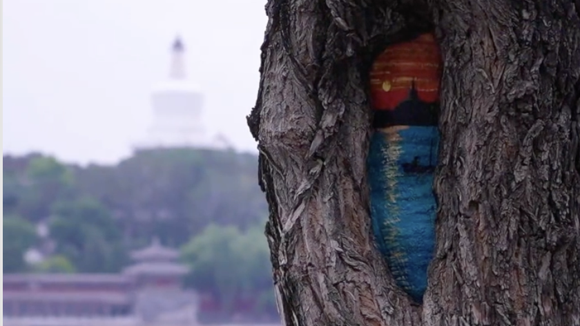 Treasures in tree holes at Beihai Park