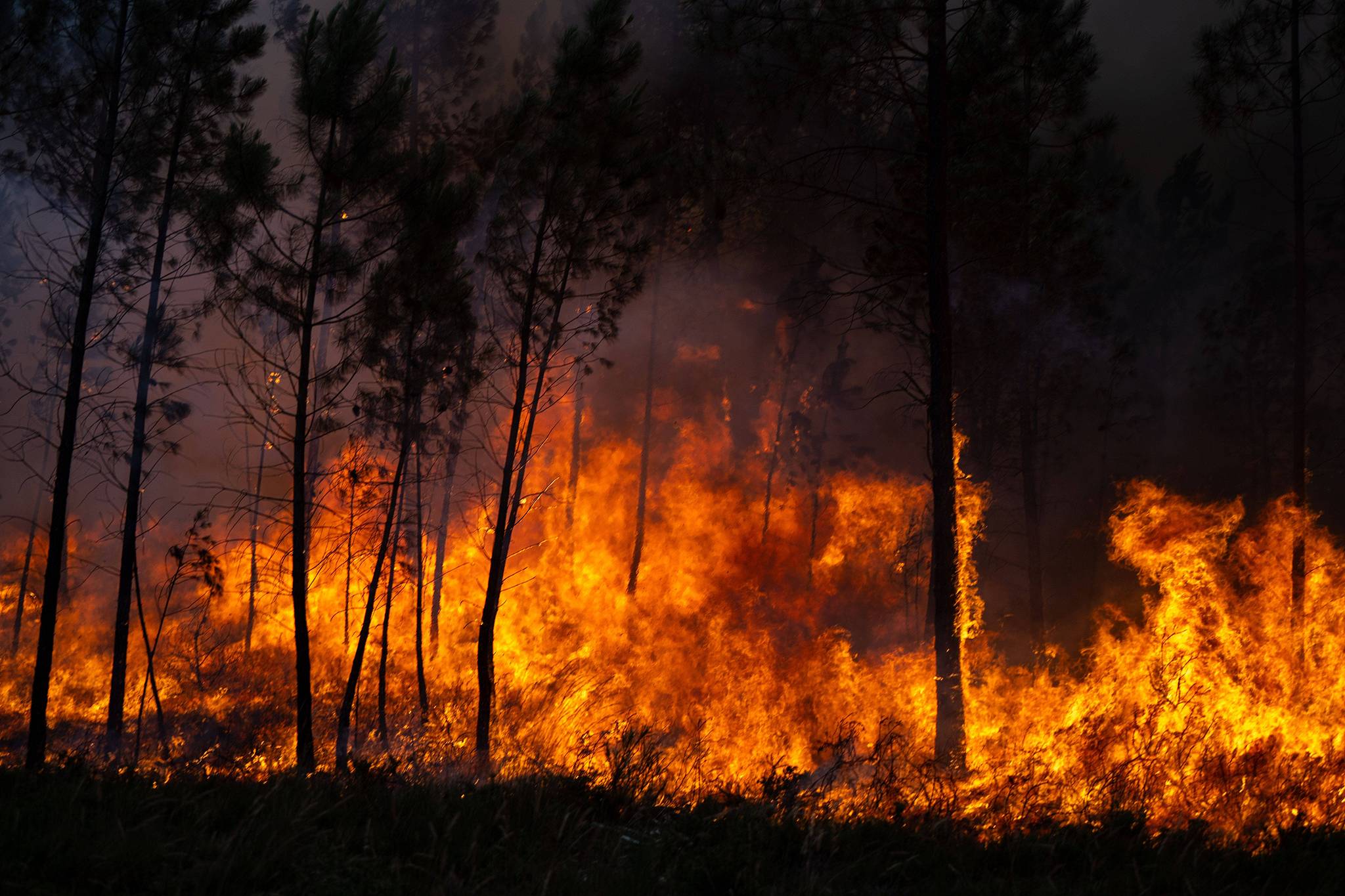 An active wildfire burns near Boboras in Galicia, Spain, June 14, 2026. /VCG