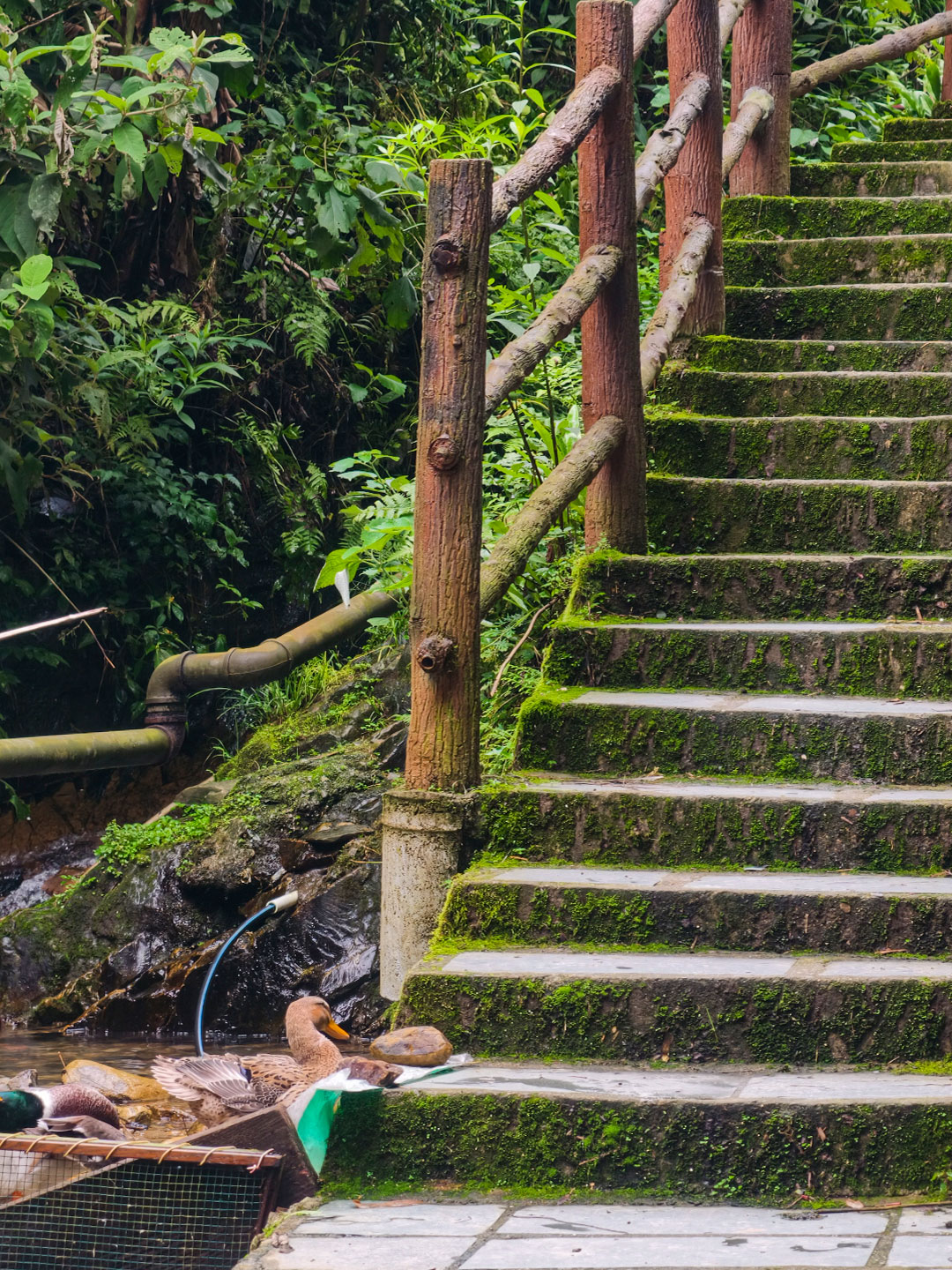 Stone paths connect homes, streams and fields throughout Longji Village in Guangxi. /CGTN
