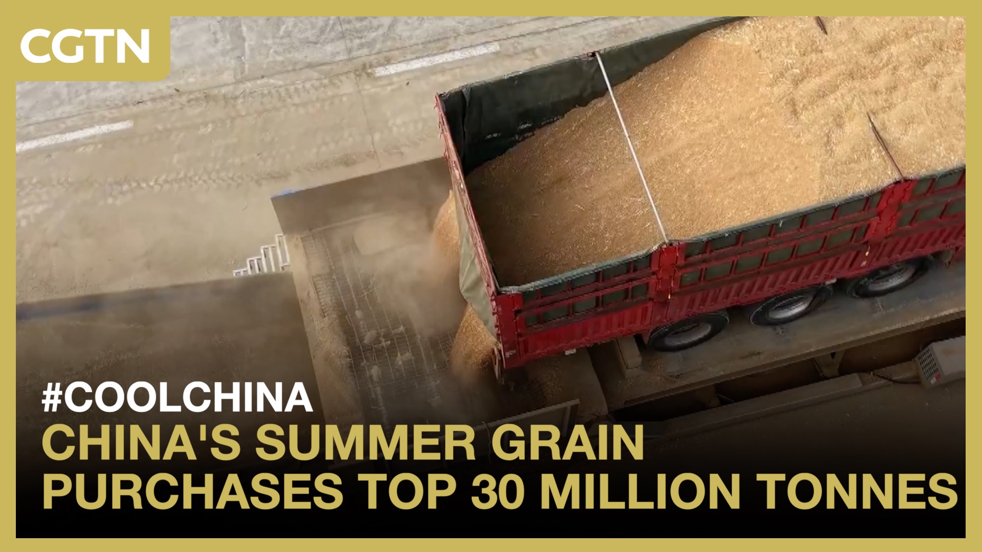 China's summer grain purchases top 30 million tonnes