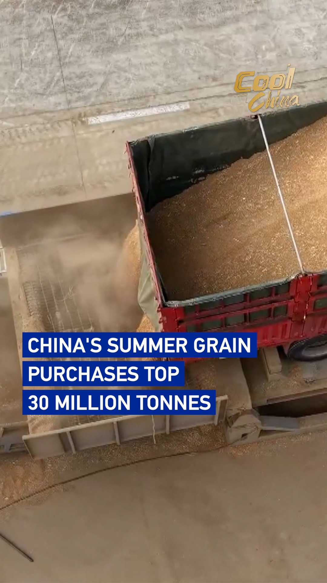 China's summer grain purchases top 30 million tonnes