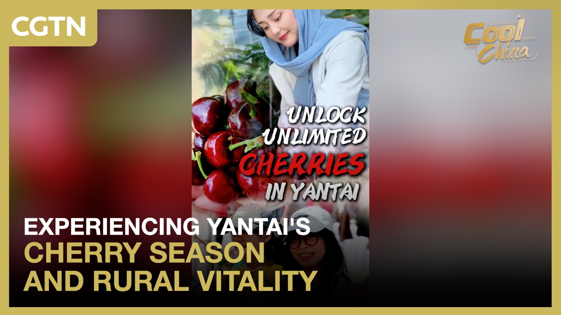 Experiencing Yantai's cherry season and rural vitality